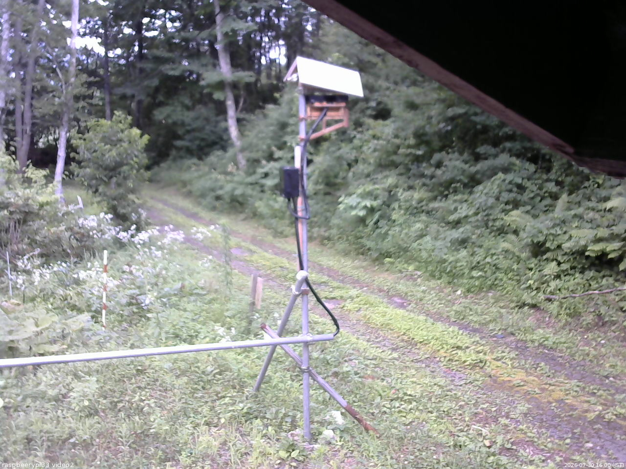 長野県菅平高原 ゆたか山荘 南側 2026/07/30 16:00