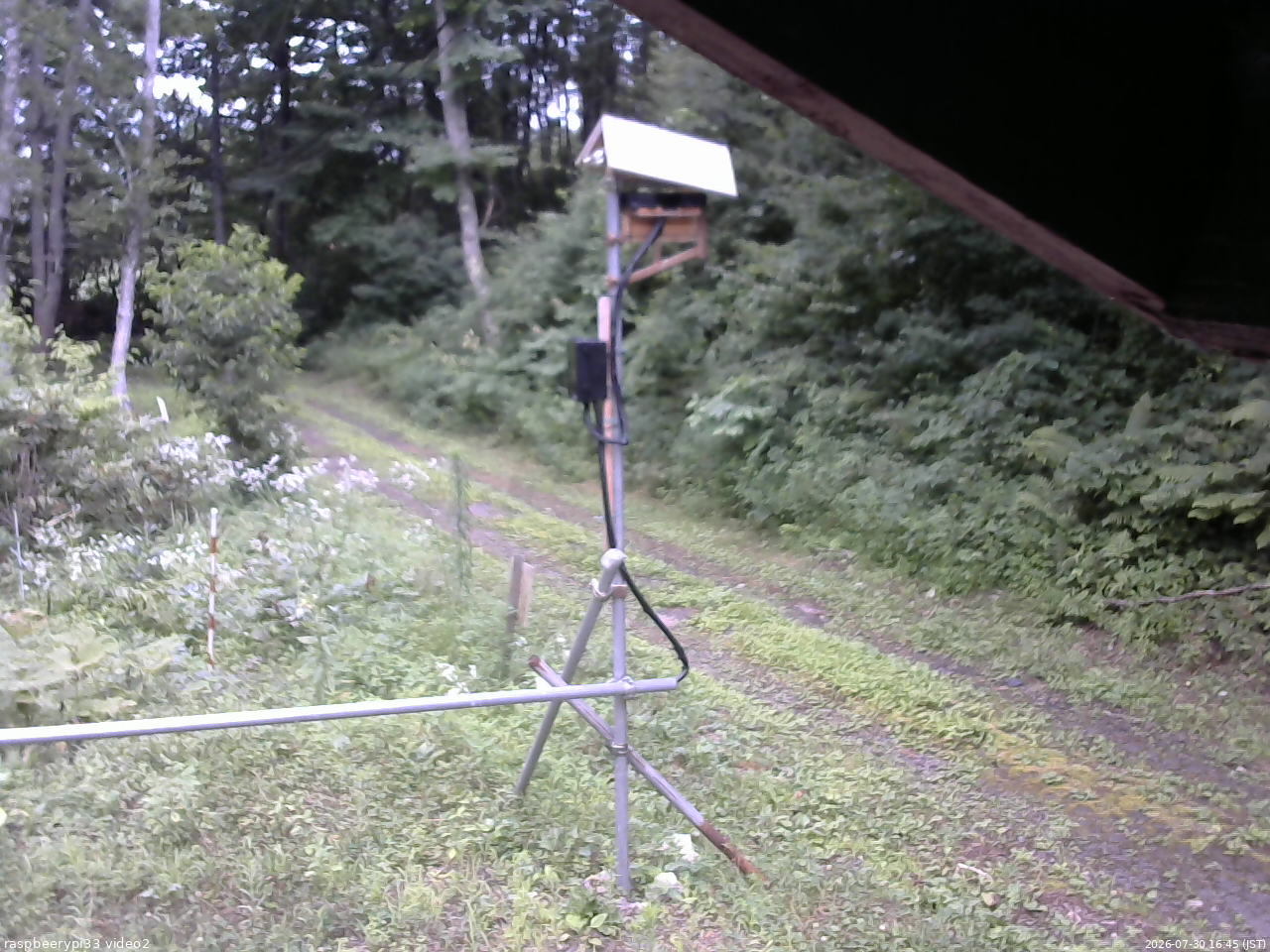 長野県菅平高原 ゆたか山荘 南側 2026/07/30 16:45