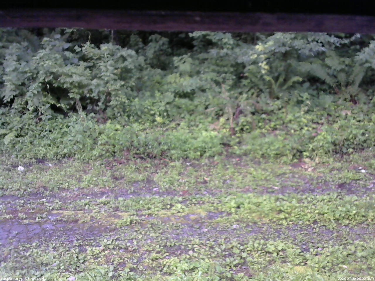 長野県菅平高原 ゆたか山荘 東側(坂下) 2026/07/30 06:00