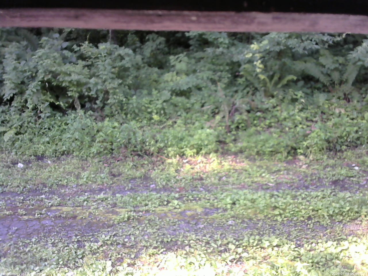 長野県菅平高原 ゆたか山荘 東側(坂下) 2026/07/30 06:45