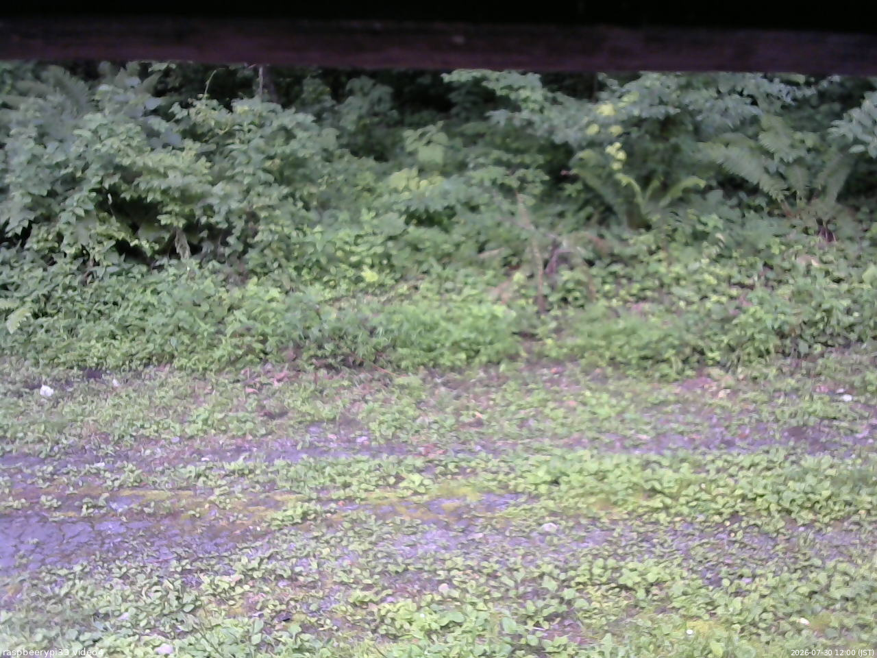 長野県菅平高原 ゆたか山荘 東側(坂下) 2026/07/30 12:00