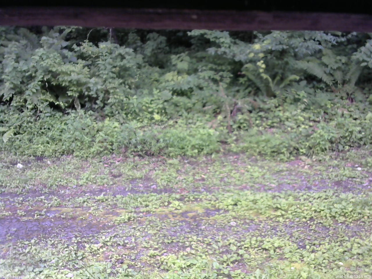長野県菅平高原 ゆたか山荘 東側(坂下) 2026/07/30 12:15