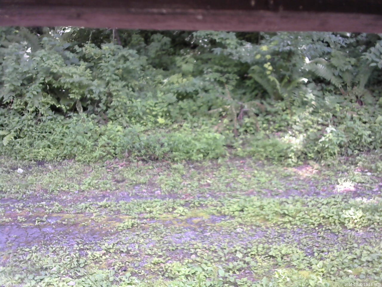 長野県菅平高原 ゆたか山荘 東側(坂下) 2026/07/30 13:15