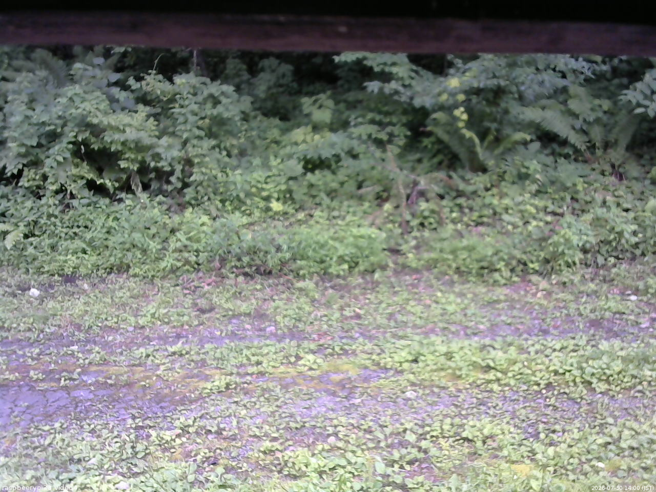 長野県菅平高原 ゆたか山荘 東側(坂下) 2026/07/30 14:00