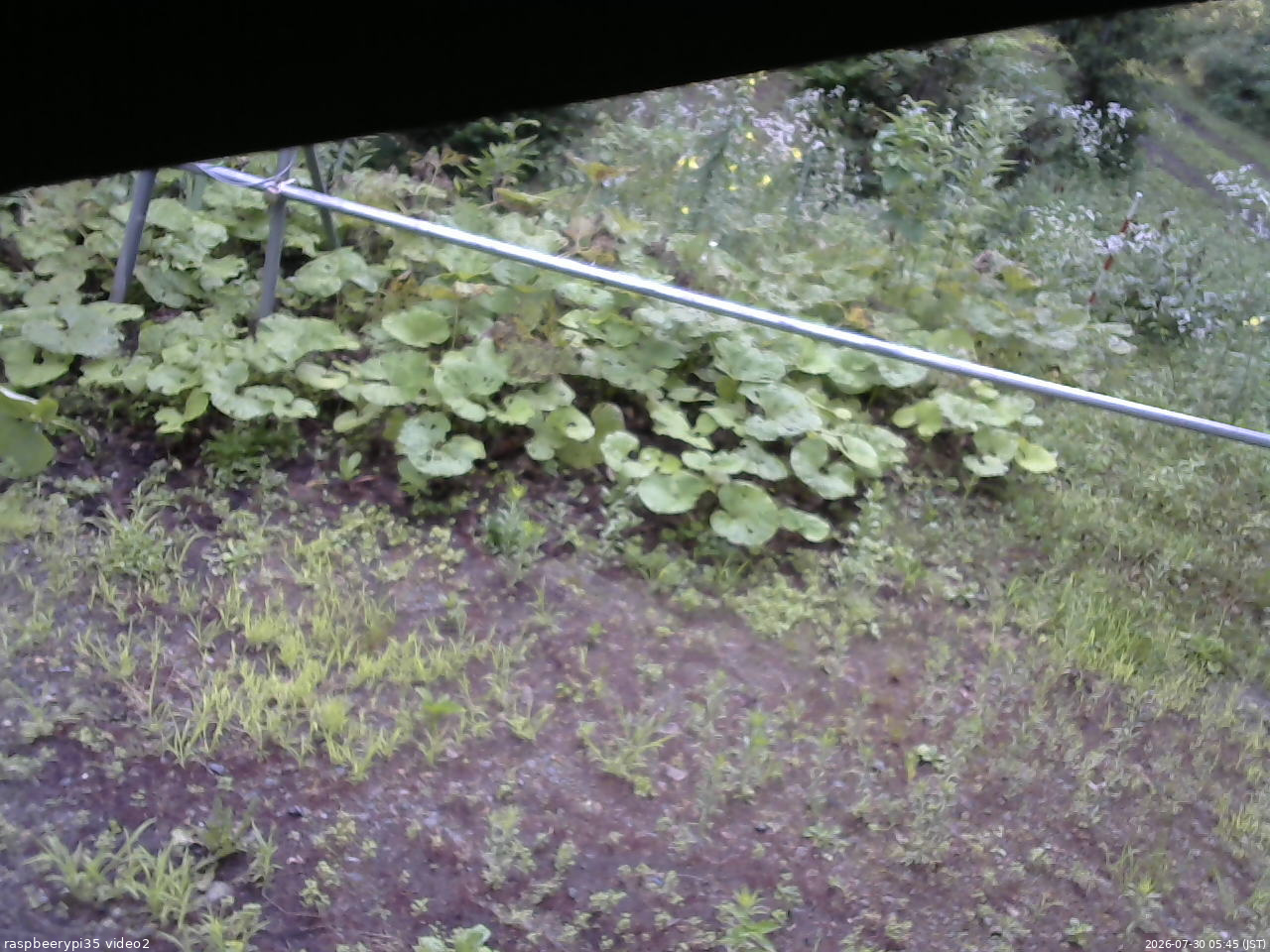 長野県菅平高原 ゆたか山荘 駐車場 2026/07/30 05:45