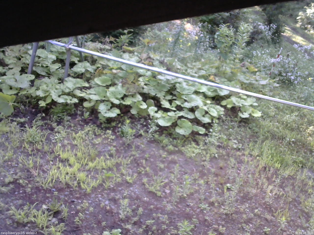 長野県菅平高原 ゆたか山荘 駐車場 2026/07/30 06:45
