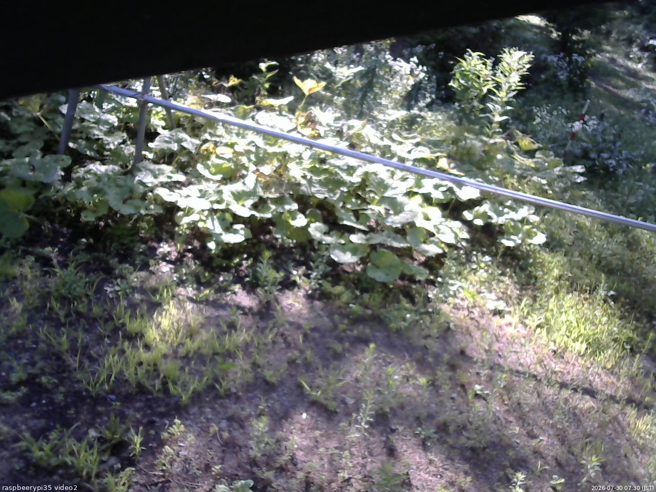 長野県菅平高原 ゆたか山荘 駐車場 2026/07/30 07:30