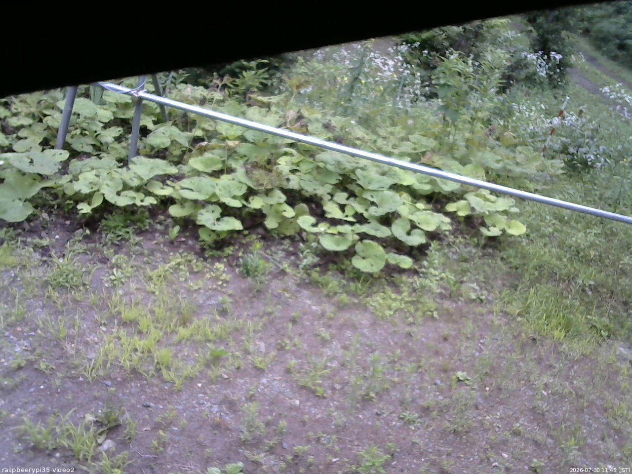 長野県菅平高原 ゆたか山荘 駐車場 2026/07/30 11:45
