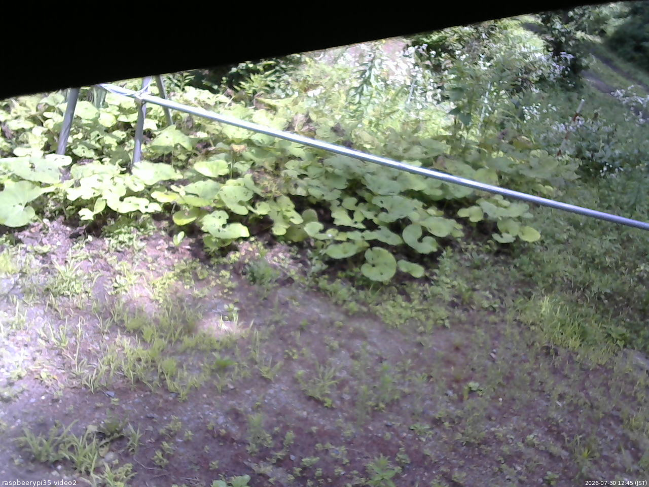 長野県菅平高原 ゆたか山荘 駐車場 2026/07/30 12:45