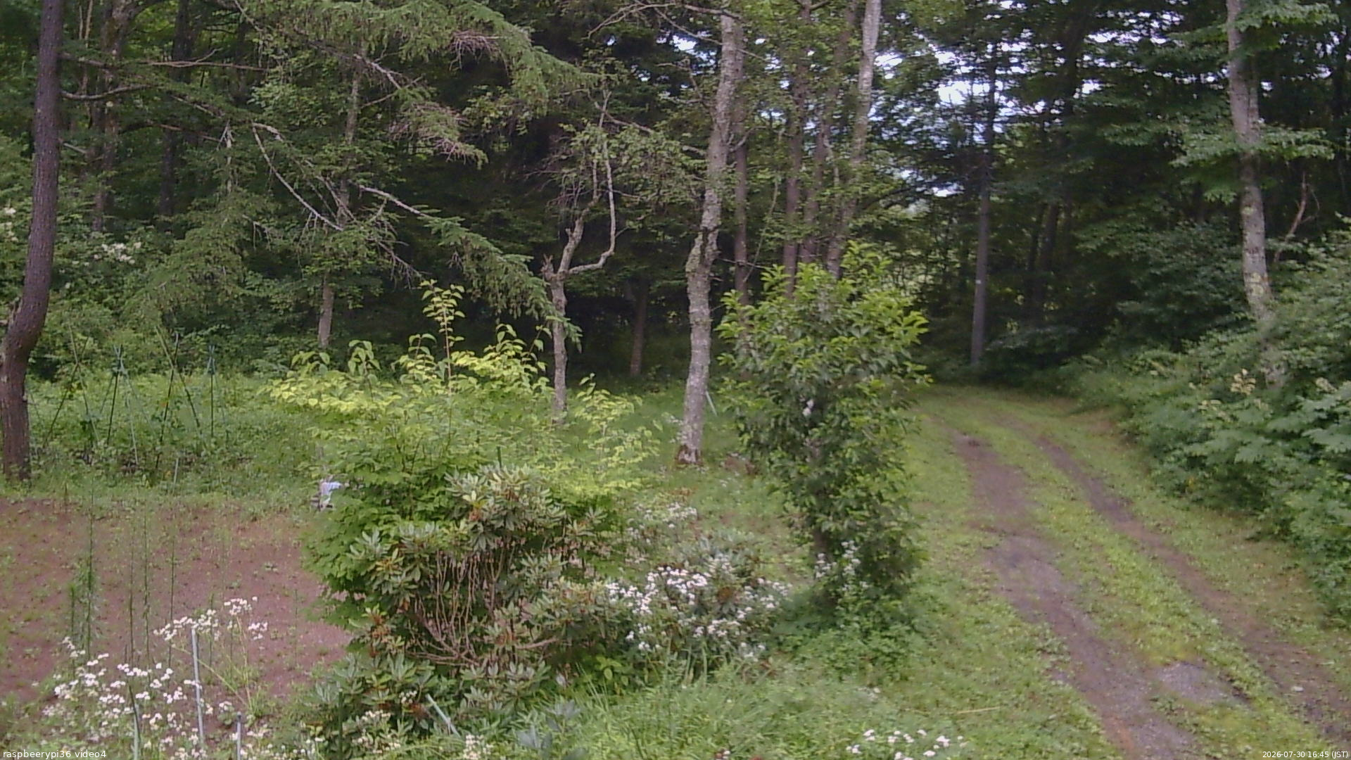 長野県菅平高原 ゆたか山荘 坂上 2026/07/30 16:45