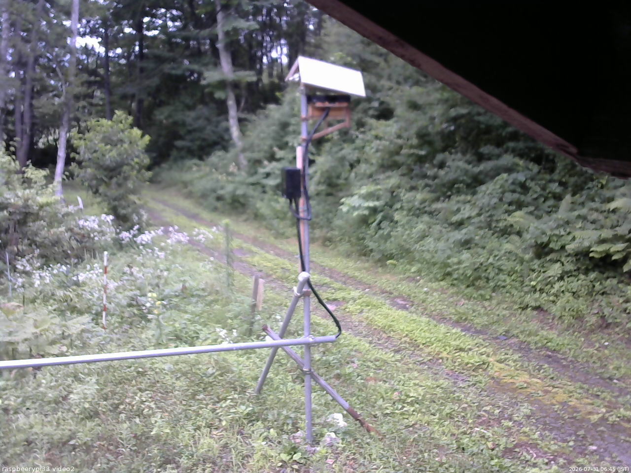 長野県菅平高原 ゆたか山荘 南側 2026/07/31 06:45