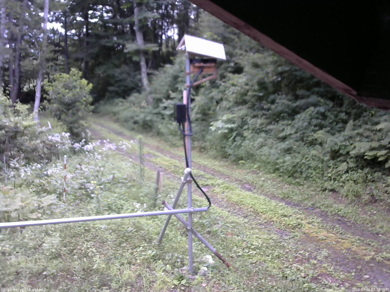 長野県菅平高原 ゆたか山荘 南側 2026/07/31 07:30