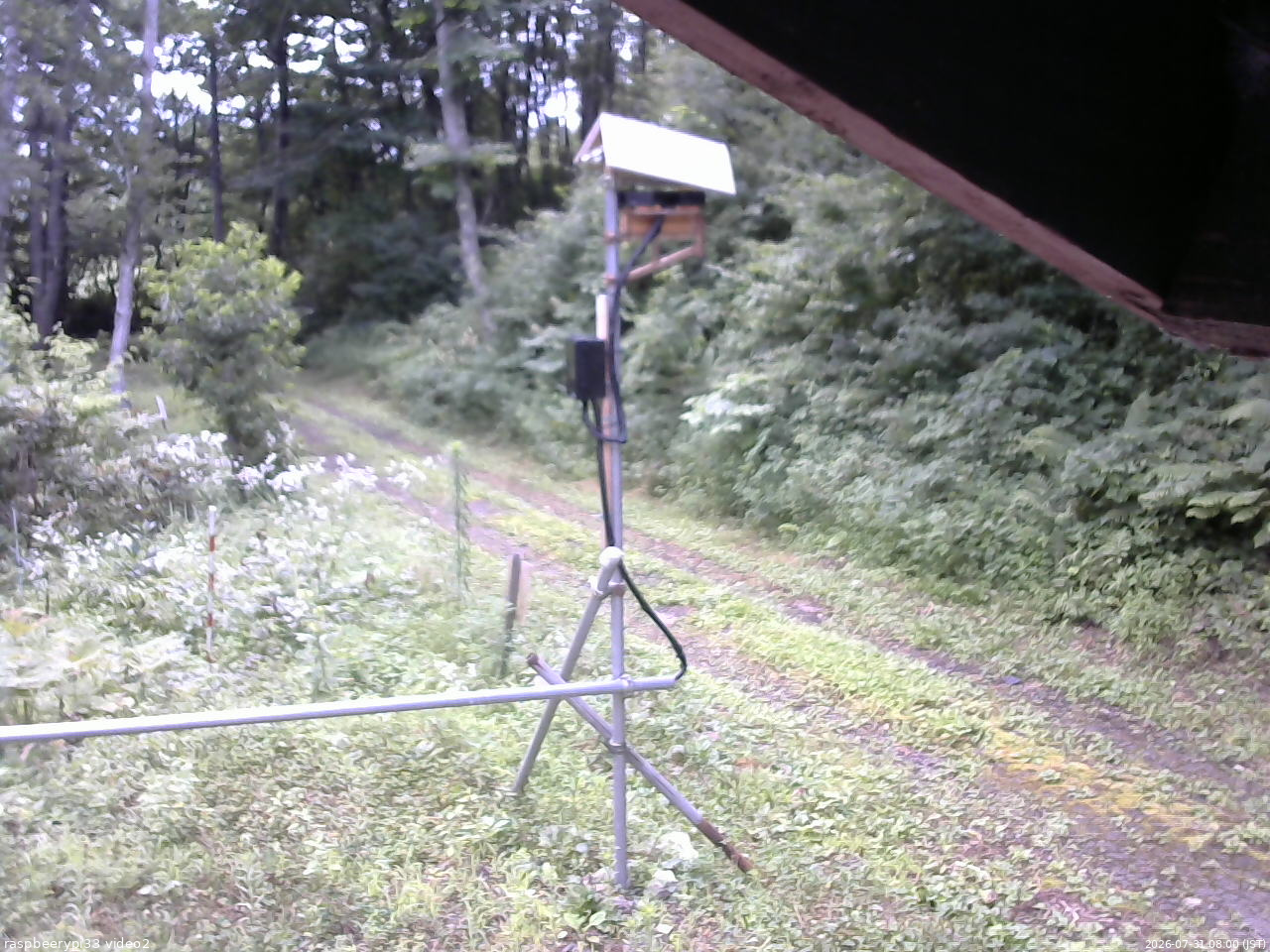長野県菅平高原 ゆたか山荘 南側 2026/07/31 08:00
