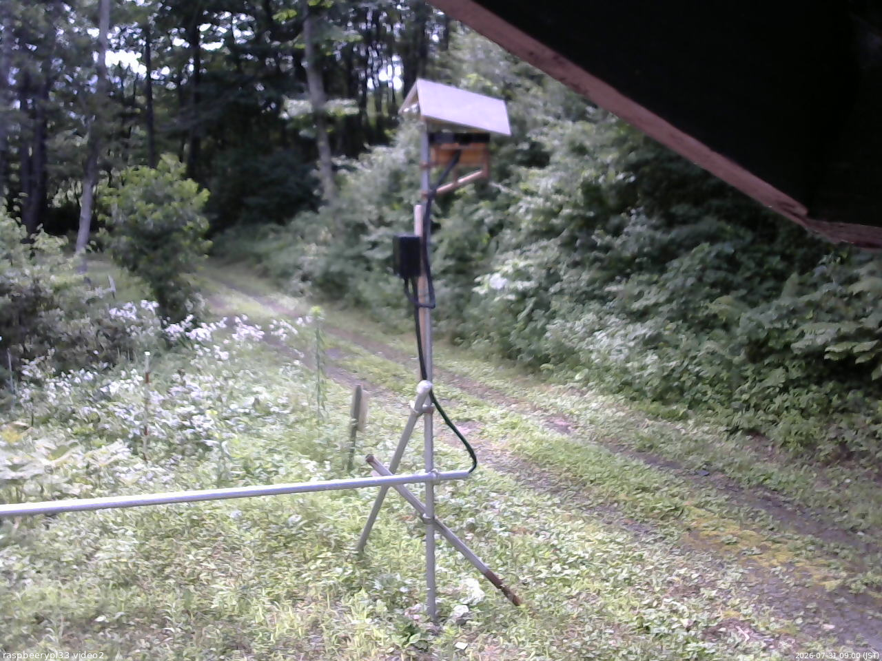 長野県菅平高原 ゆたか山荘 南側 2026/07/31 09:00