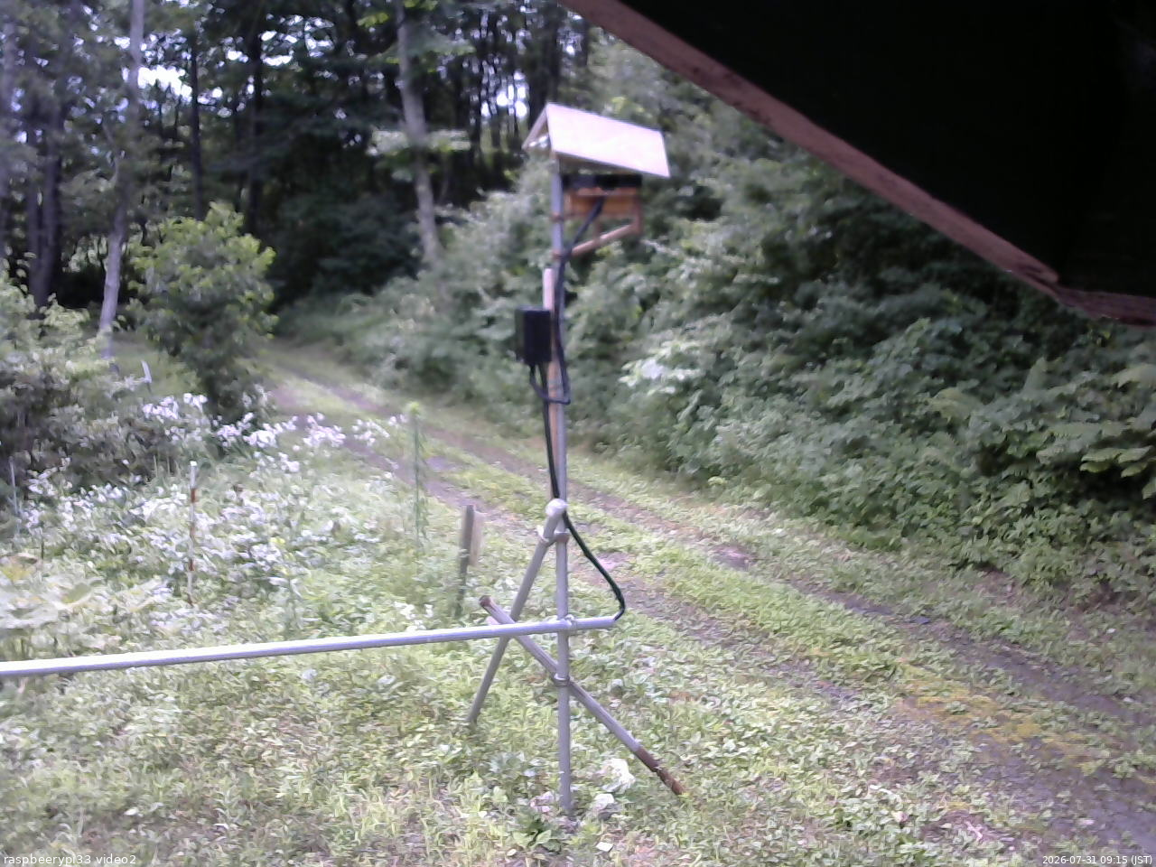 長野県菅平高原 ゆたか山荘 南側 2026/07/31 09:15