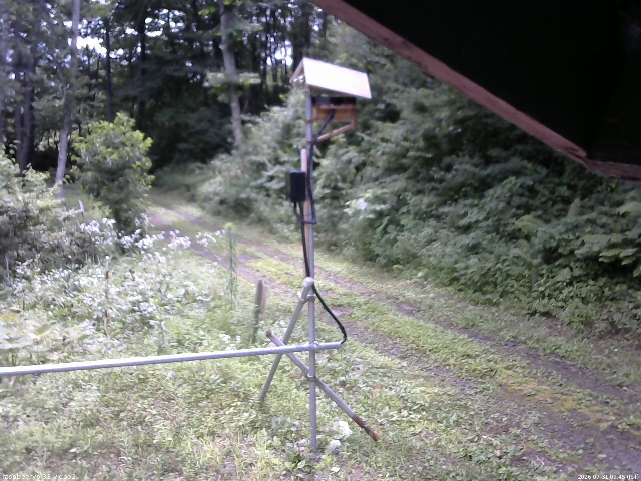 長野県菅平高原 ゆたか山荘 南側 2026/07/31 09:45