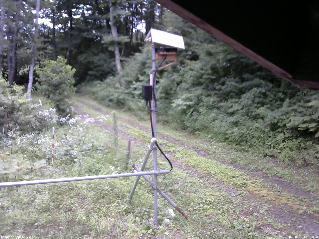 長野県菅平高原 ゆたか山荘 南側 2026/07/31 10:00