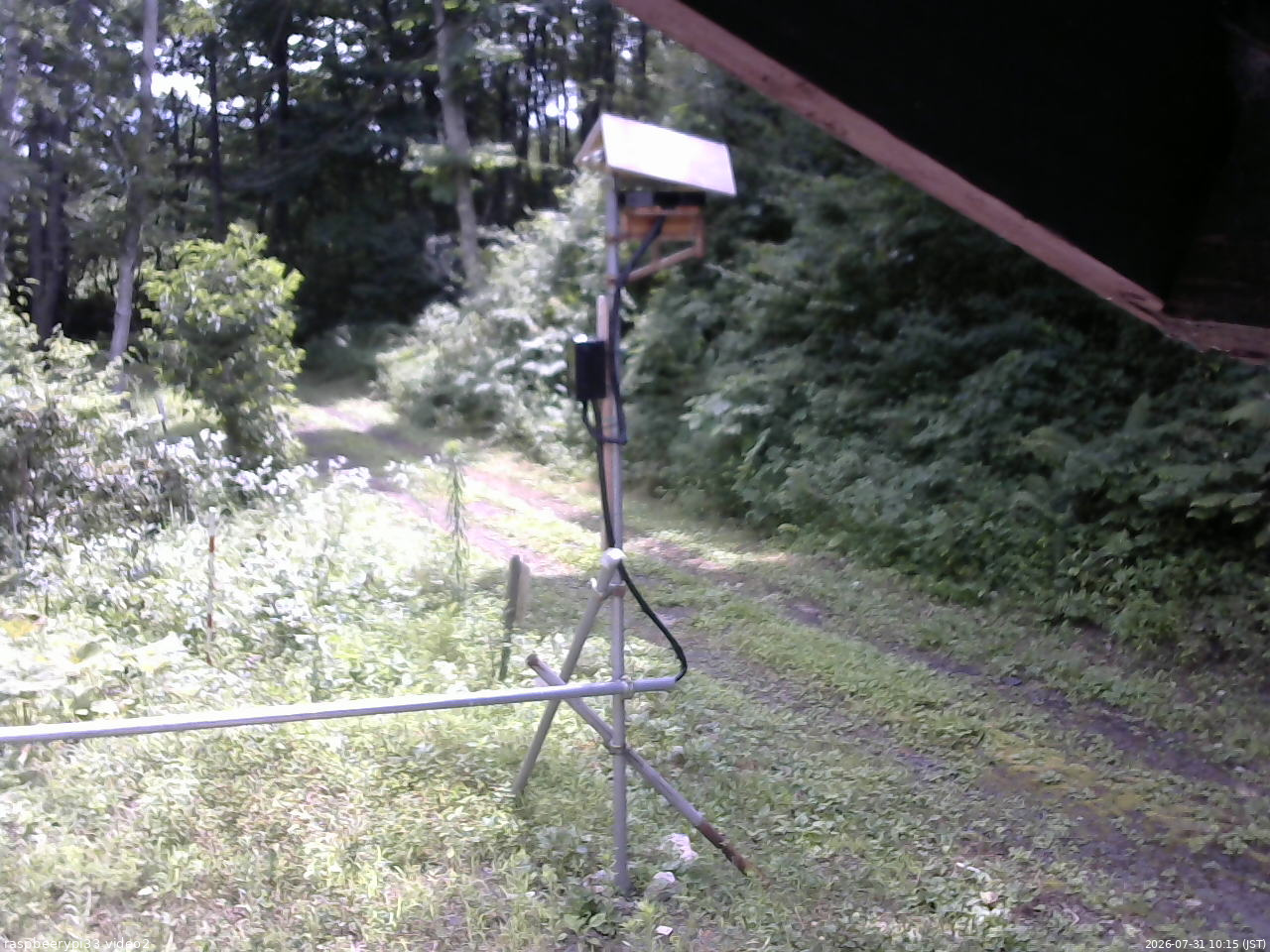 長野県菅平高原 ゆたか山荘 南側 2026/07/31 10:15