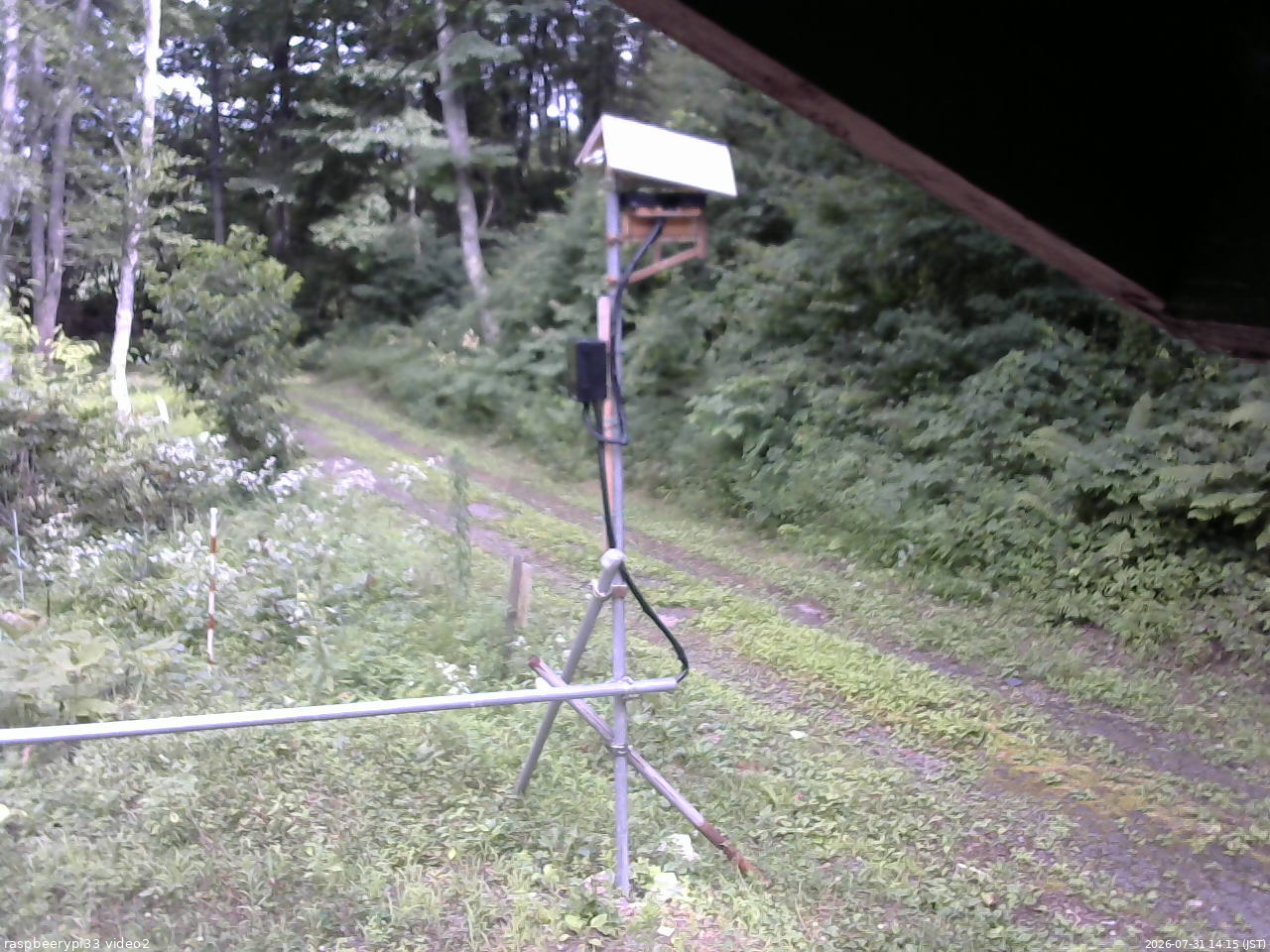 長野県菅平高原 ゆたか山荘 南側 2026/07/31 14:15