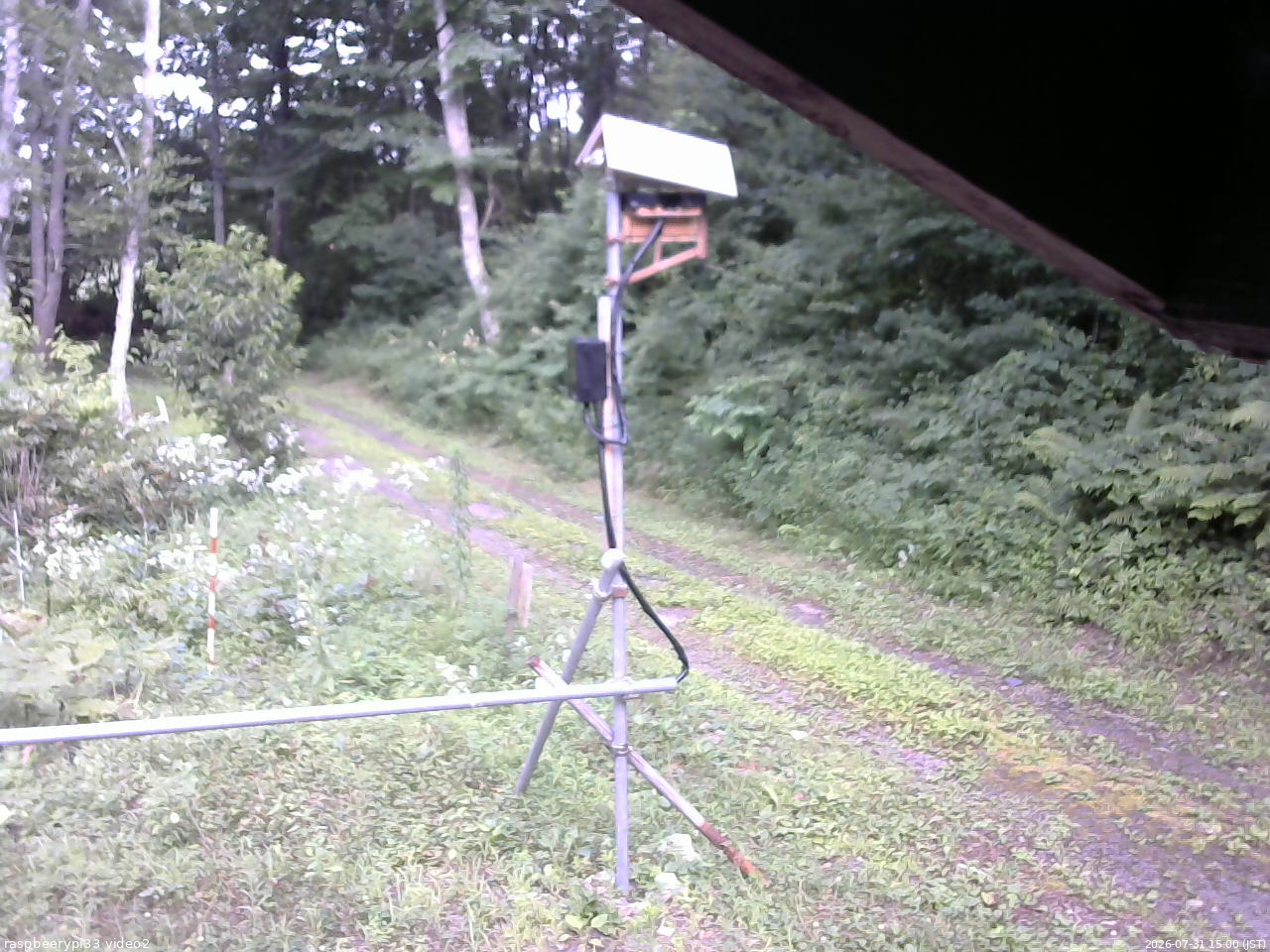長野県菅平高原 ゆたか山荘 南側 2026/07/31 15:00