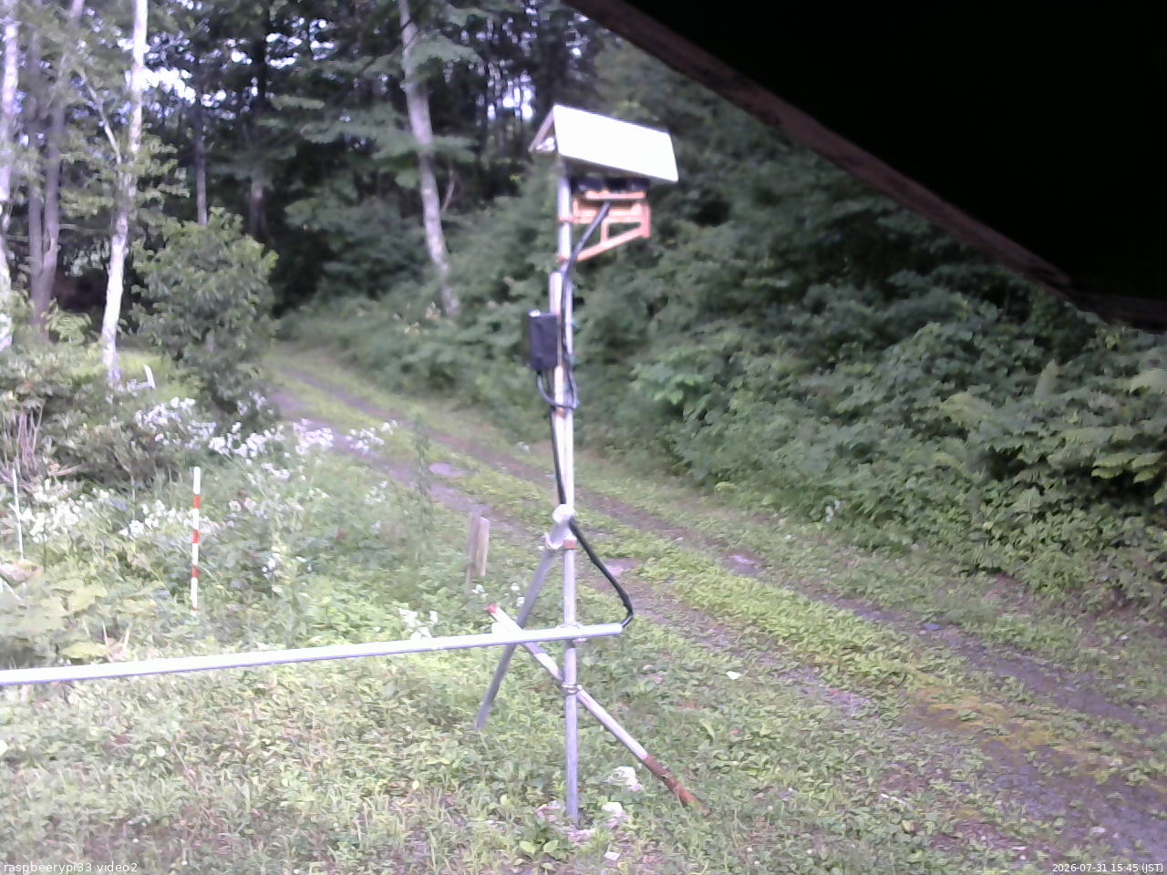 長野県菅平高原 ゆたか山荘 南側 2026/07/31 15:45