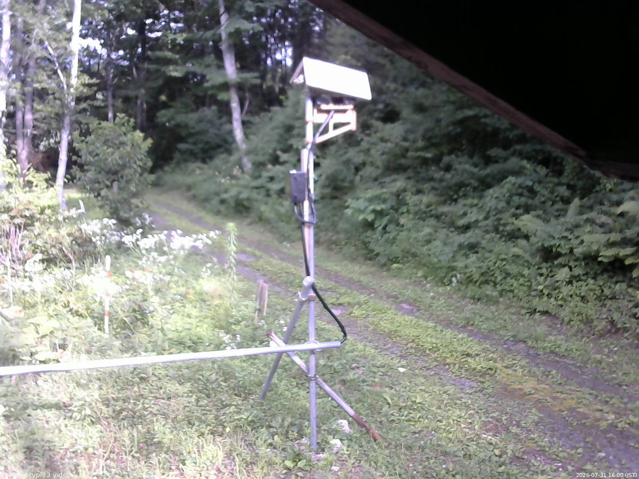 長野県菅平高原 ゆたか山荘 南側 2026/07/31 16:00