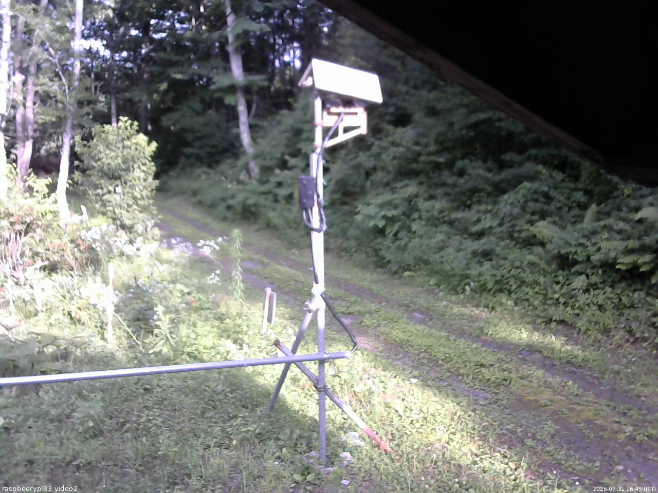 長野県菅平高原 ゆたか山荘 南側 2026/07/31 16:45