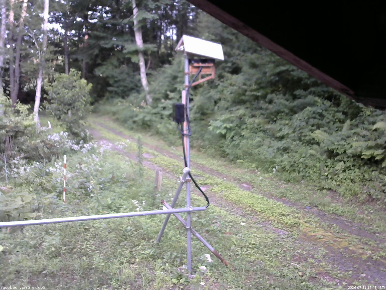 長野県菅平高原 ゆたか山荘 南側 2026/07/31 17:45