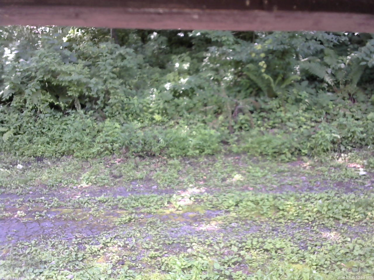 長野県菅平高原 ゆたか山荘 東側(坂下) 2026/07/31 12:00