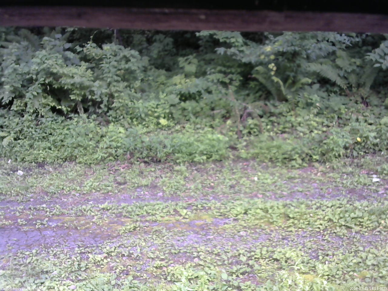 長野県菅平高原 ゆたか山荘 東側(坂下) 2026/07/31 14:15