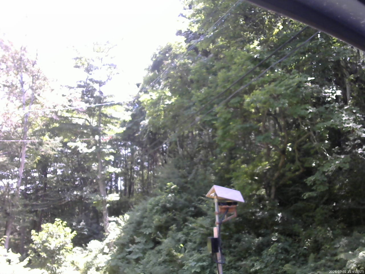 長野県菅平高原 ゆたか山荘 温度計 2026/07/31 11:45