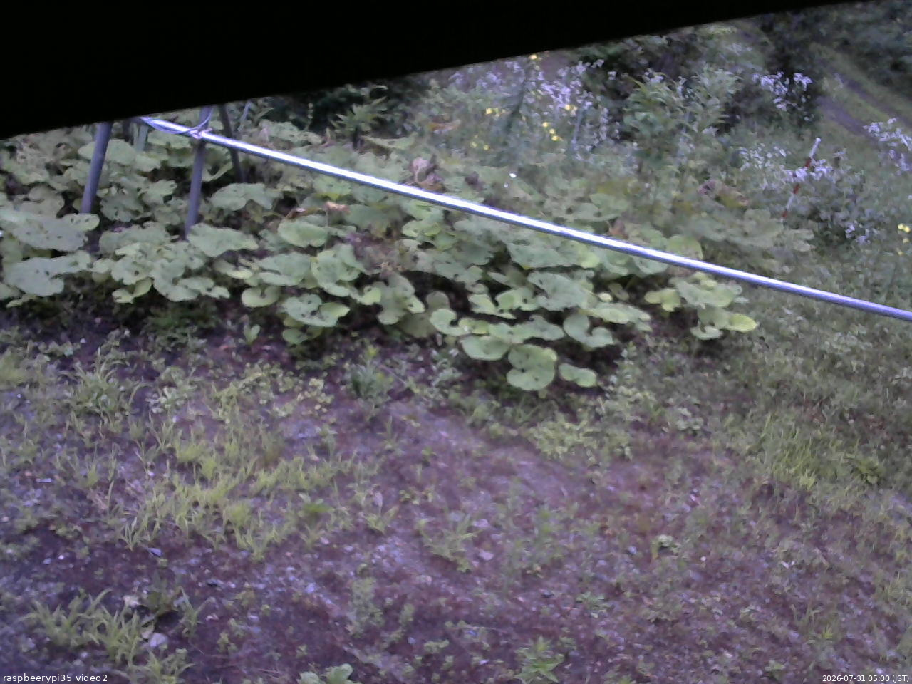 長野県菅平高原 ゆたか山荘 駐車場 2026/07/31 05:00