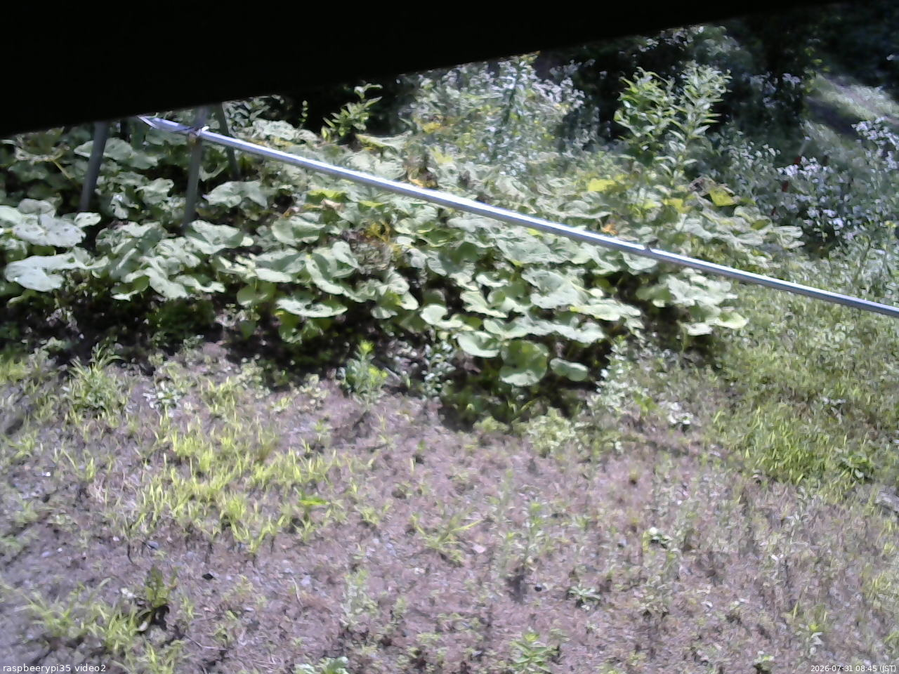 長野県菅平高原 ゆたか山荘 駐車場 2026/07/31 08:45