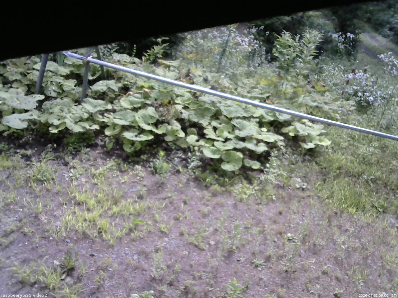 長野県菅平高原 ゆたか山荘 駐車場 2026/07/31 09:00