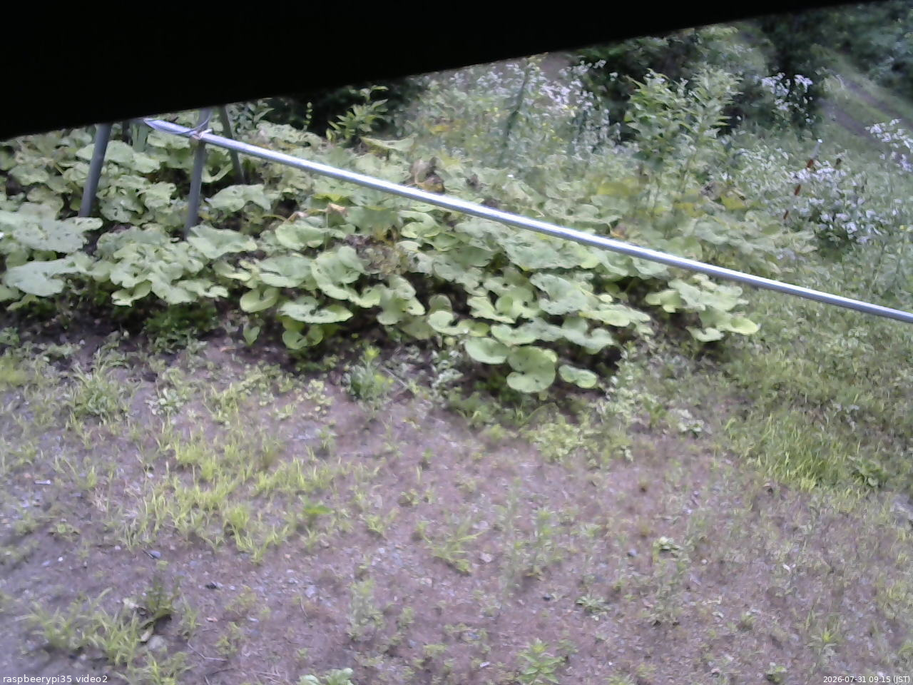 長野県菅平高原 ゆたか山荘 駐車場 2026/07/31 09:15