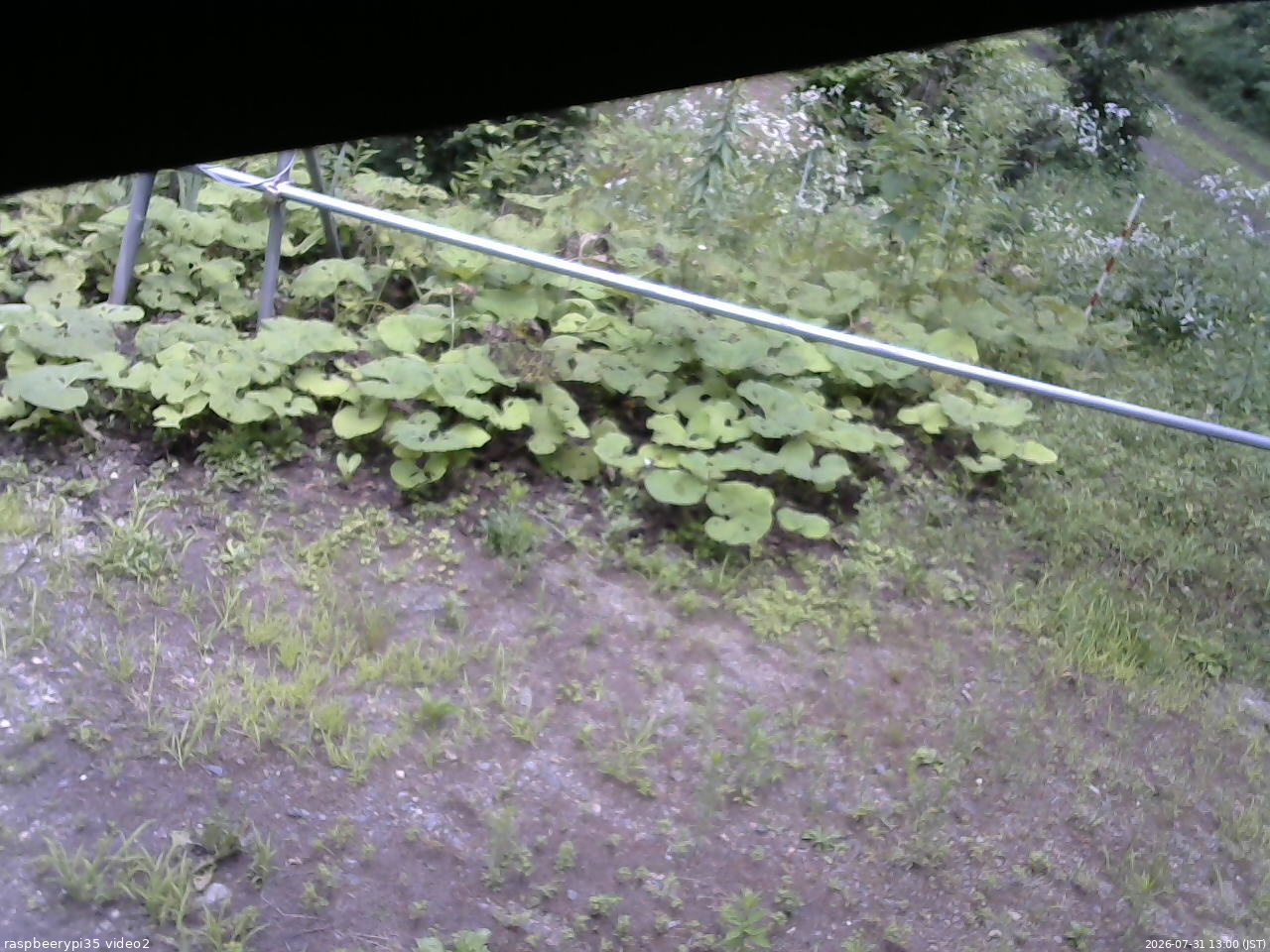 長野県菅平高原 ゆたか山荘 駐車場 2026/07/31 13:00