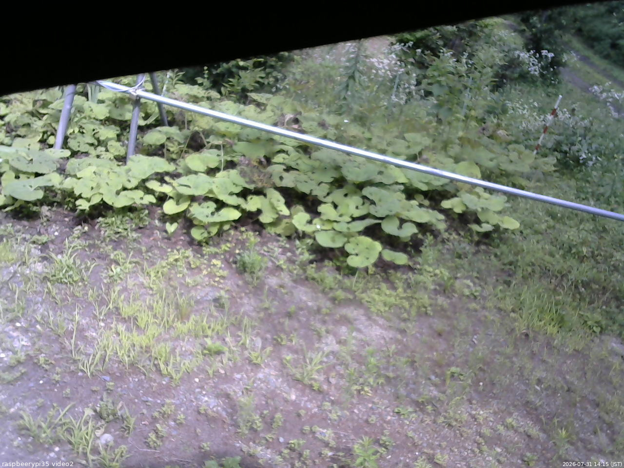 長野県菅平高原 ゆたか山荘 駐車場 2026/07/31 14:15