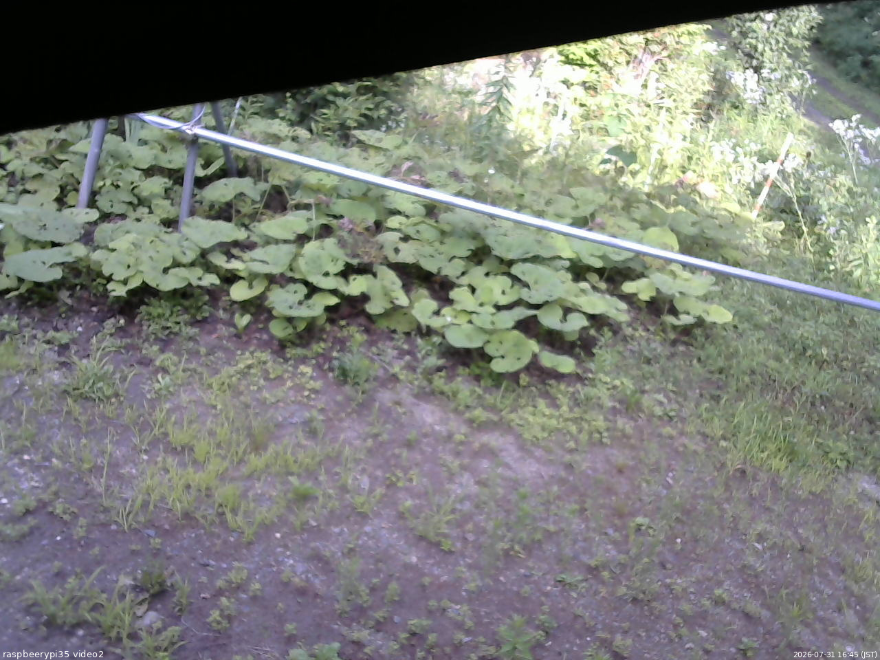 長野県菅平高原 ゆたか山荘 駐車場 2026/07/31 16:45
