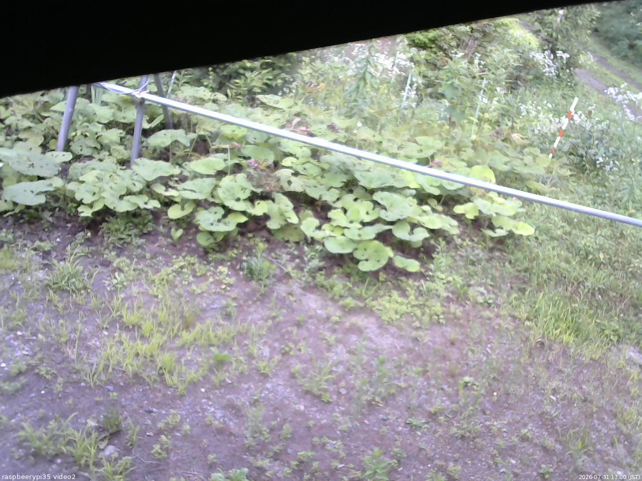 長野県菅平高原 ゆたか山荘 駐車場 2026/07/31 17:00