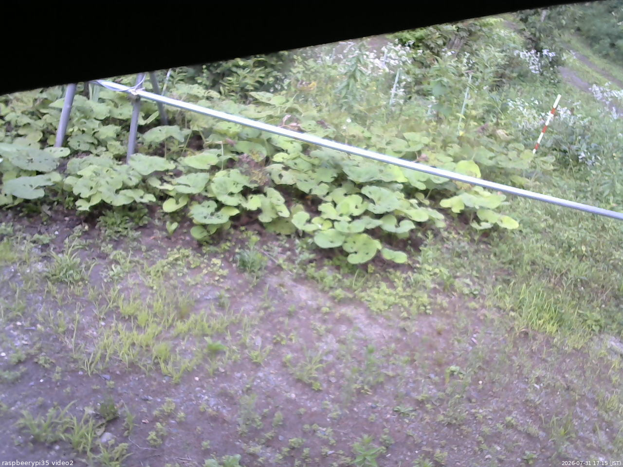 長野県菅平高原 ゆたか山荘 駐車場 2026/07/31 17:15