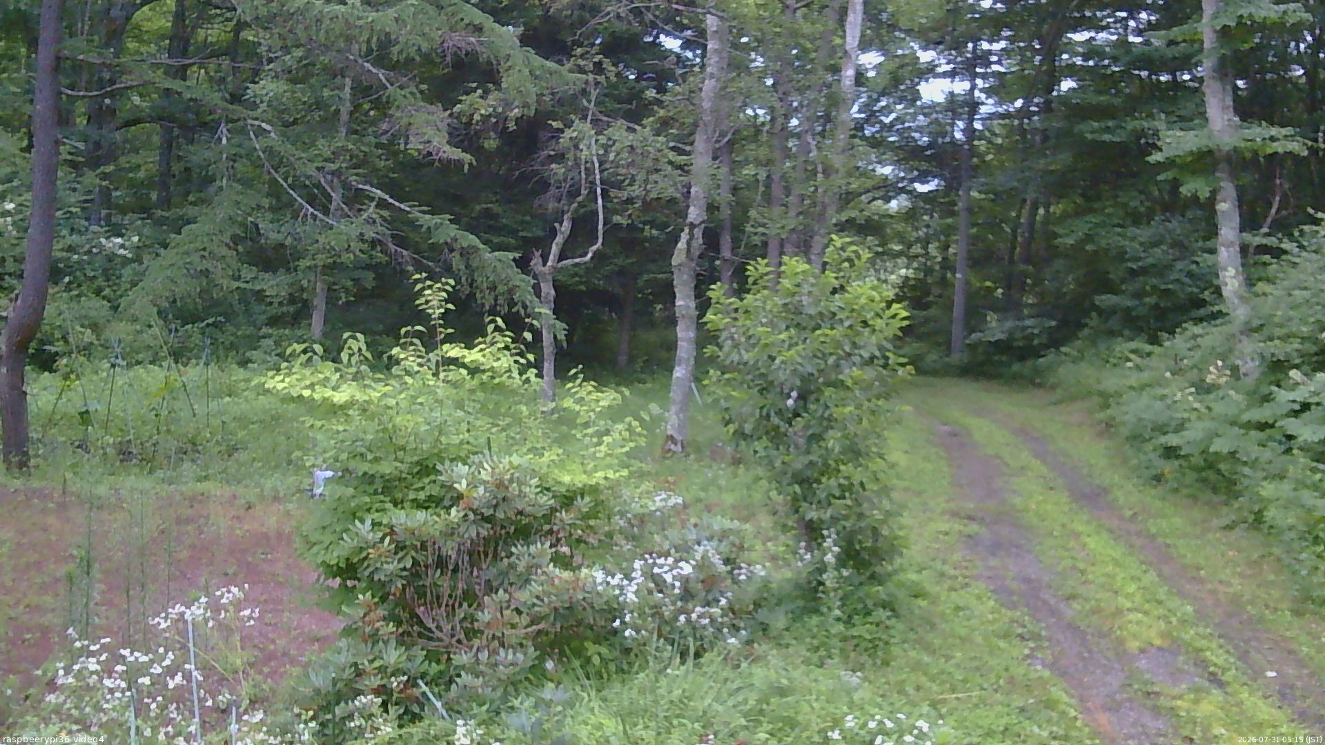 長野県菅平高原 ゆたか山荘 坂上 2026/07/31 05:15
