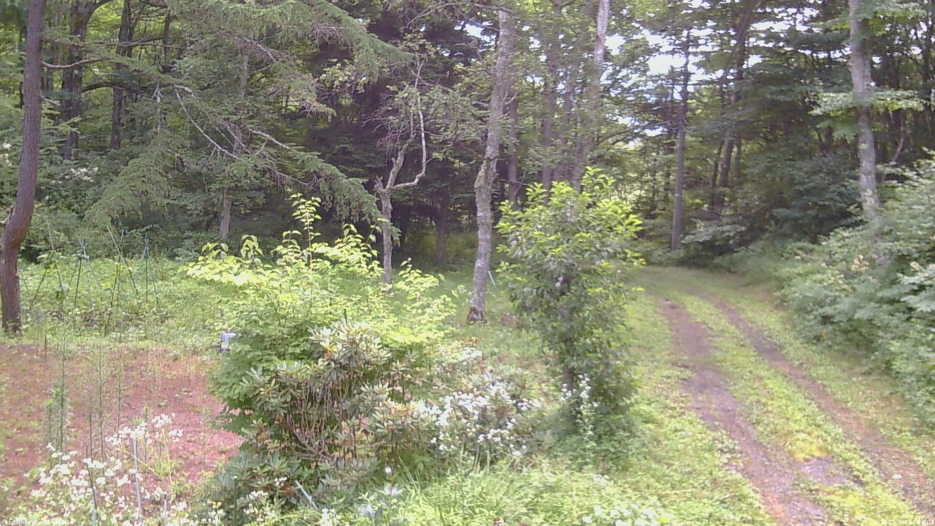 長野県菅平高原 ゆたか山荘 坂上 2026/07/31 08:00