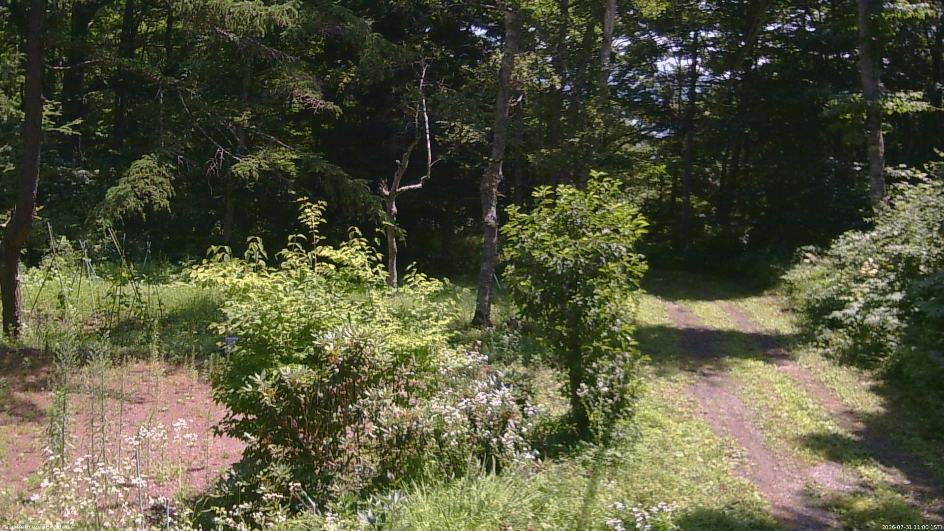 長野県菅平高原 ゆたか山荘 坂上 2026/07/31 11:00