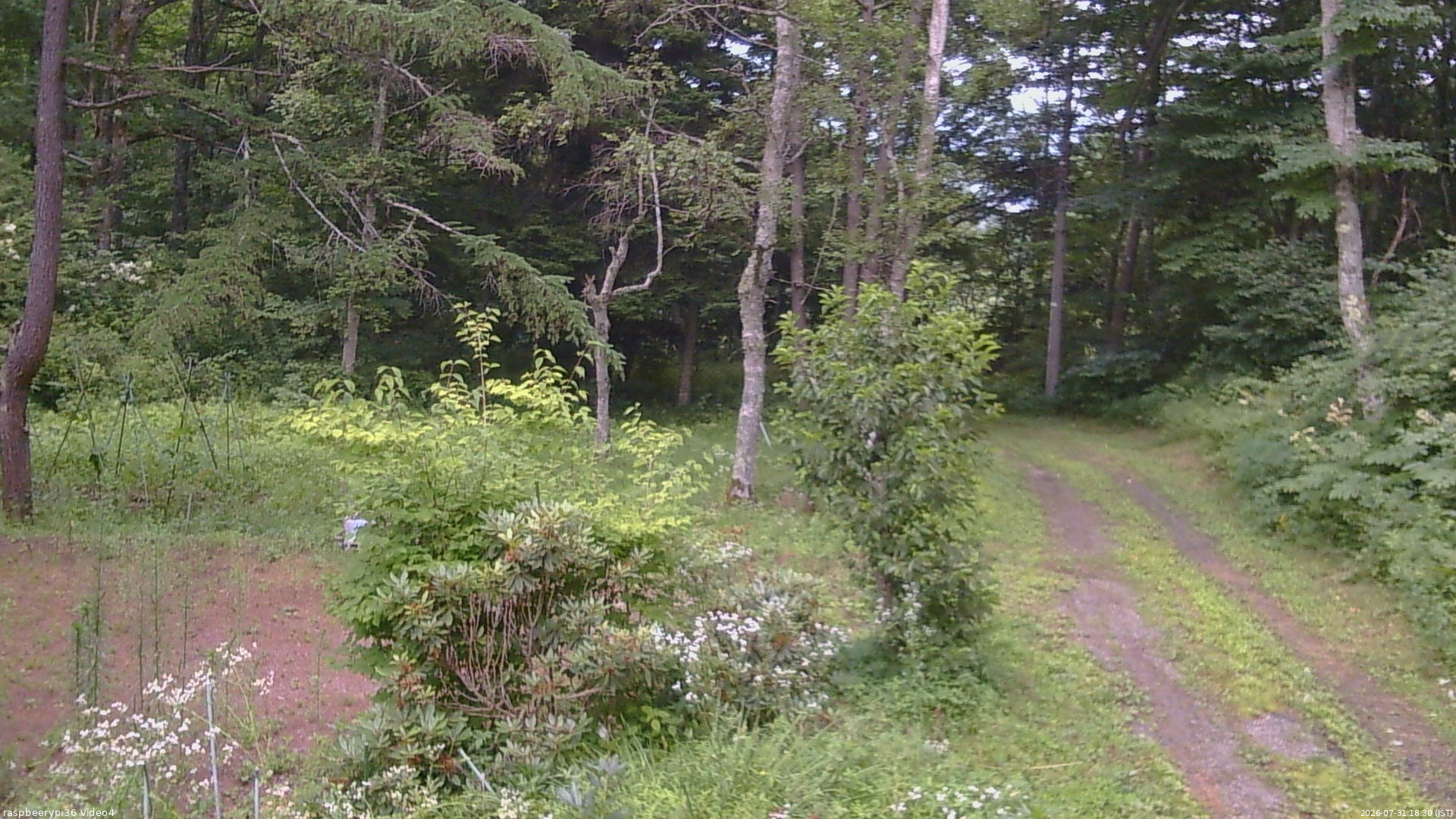 長野県菅平高原 ゆたか山荘 坂上 2026/07/31 18:30