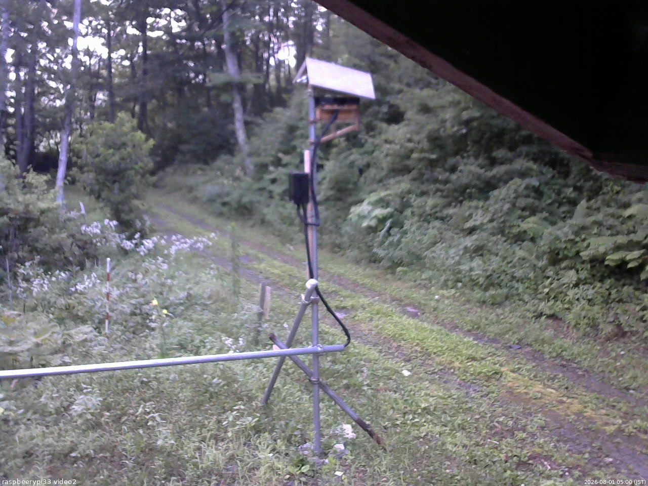 長野県菅平高原 ゆたか山荘 南側 2026/08/01 05:00