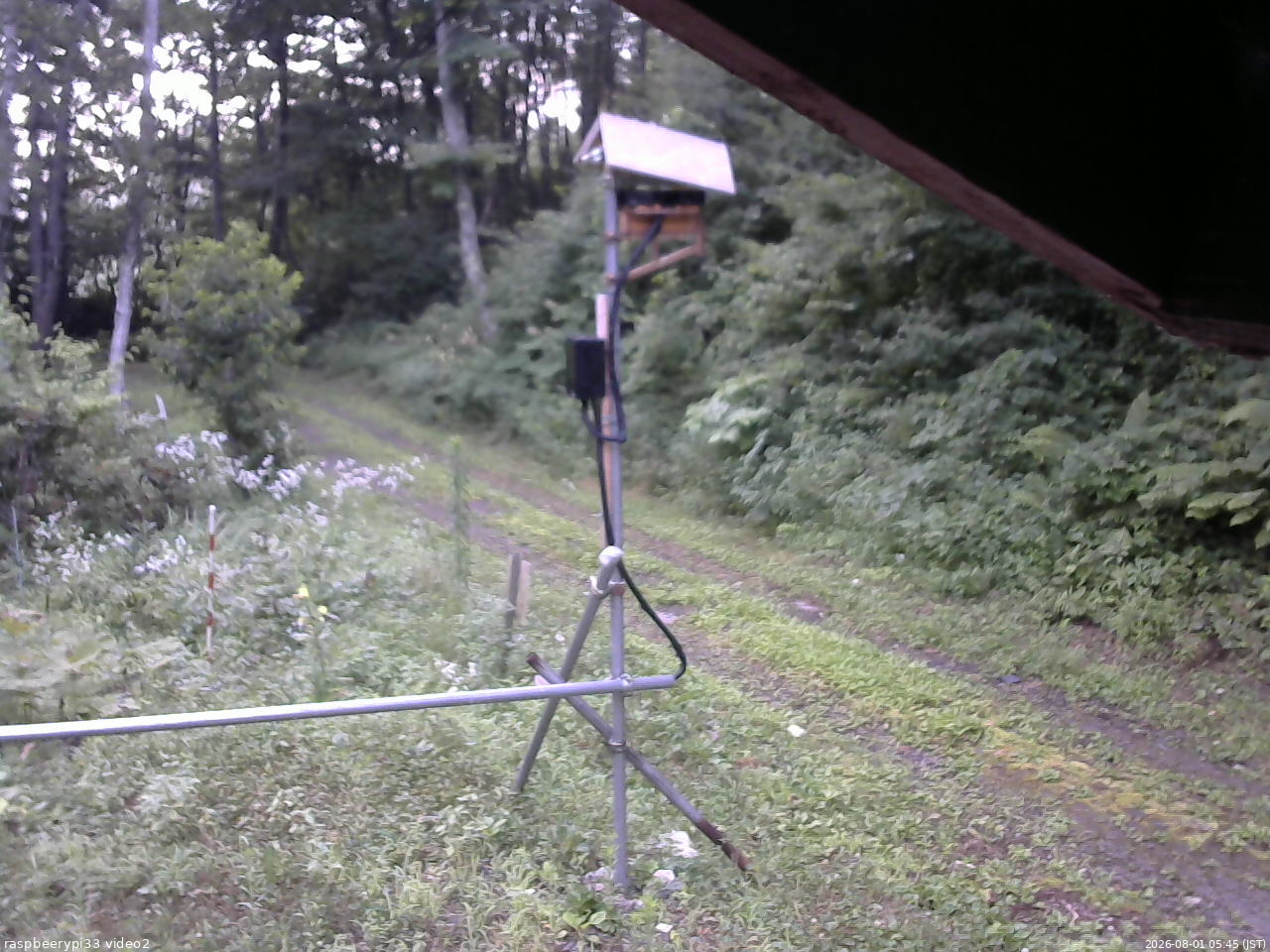 長野県菅平高原 ゆたか山荘 南側 2026/08/01 05:45