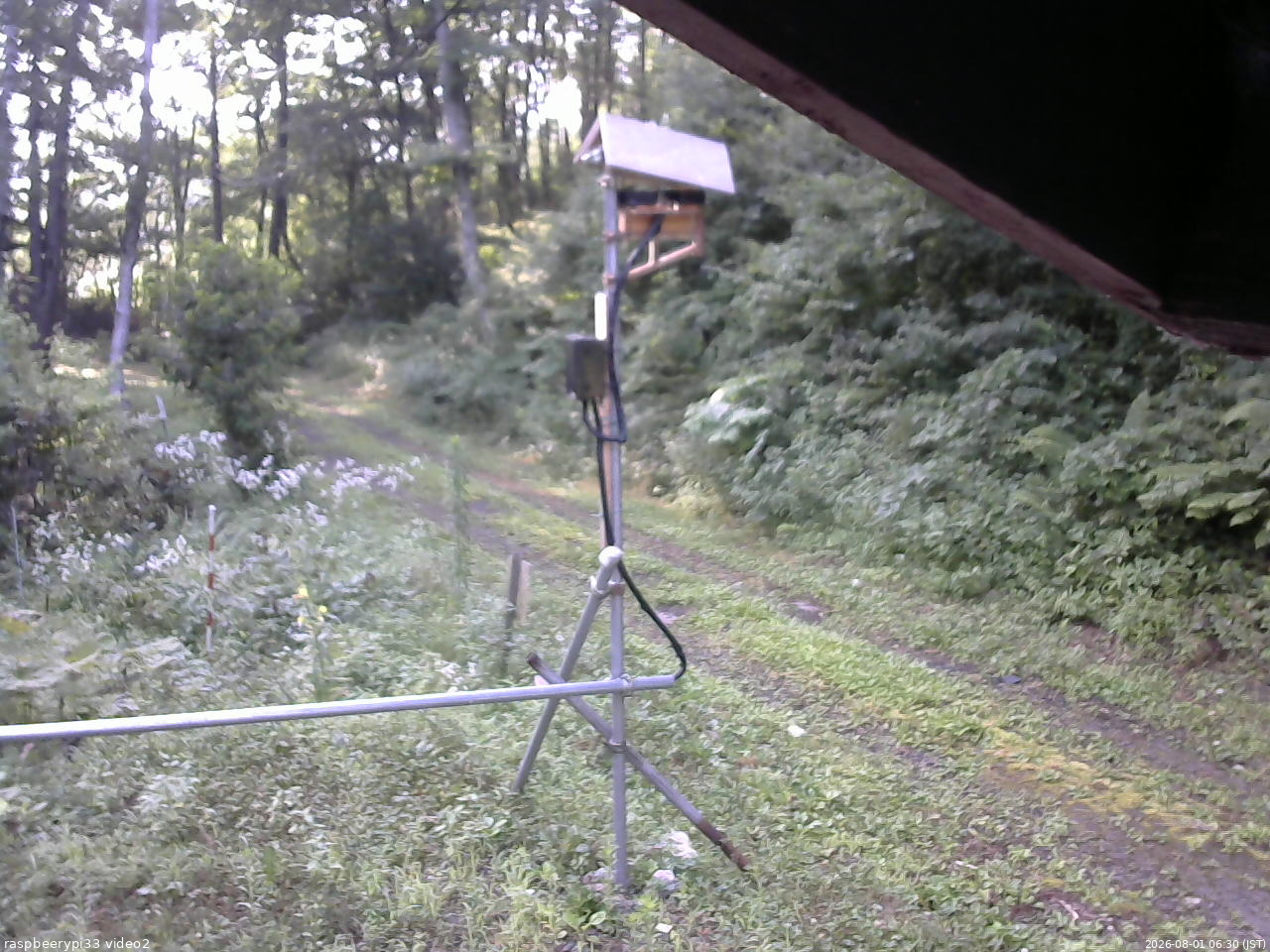 長野県菅平高原 ゆたか山荘 南側 2026/08/01 06:30