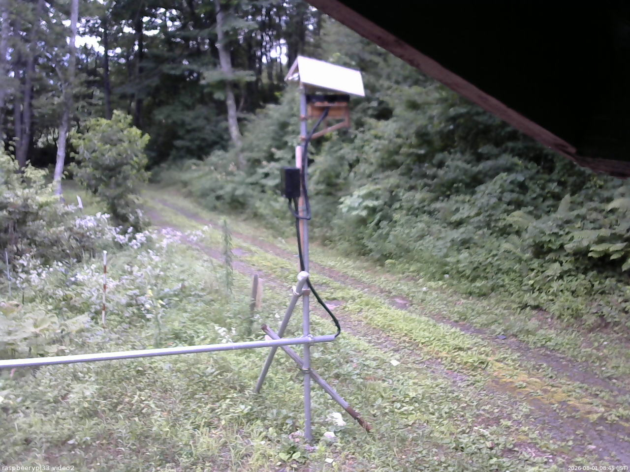 長野県菅平高原 ゆたか山荘 南側 2026/08/01 08:45