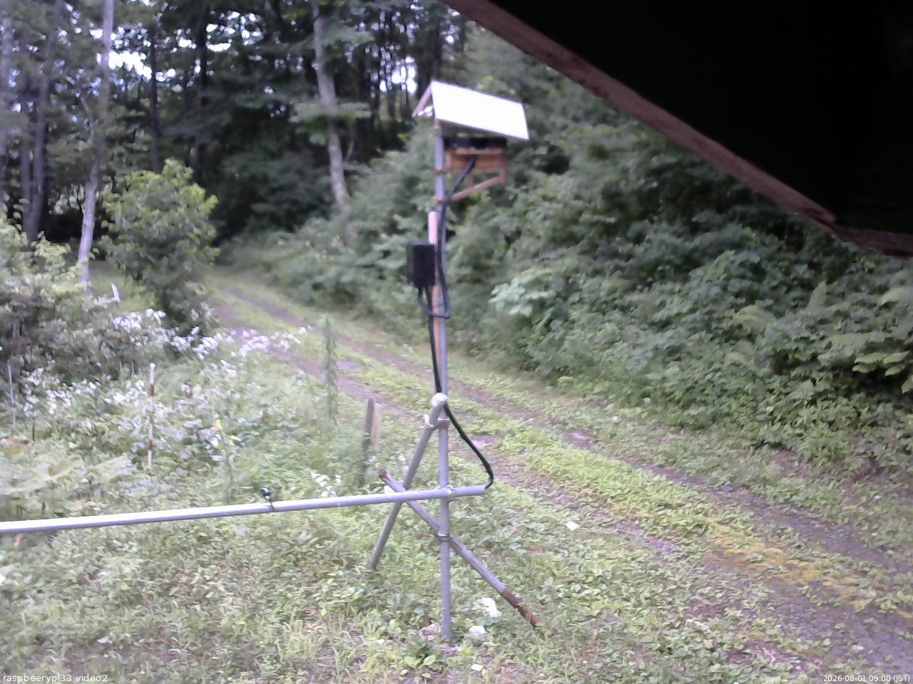 長野県菅平高原 ゆたか山荘 南側 2026/08/01 09:00