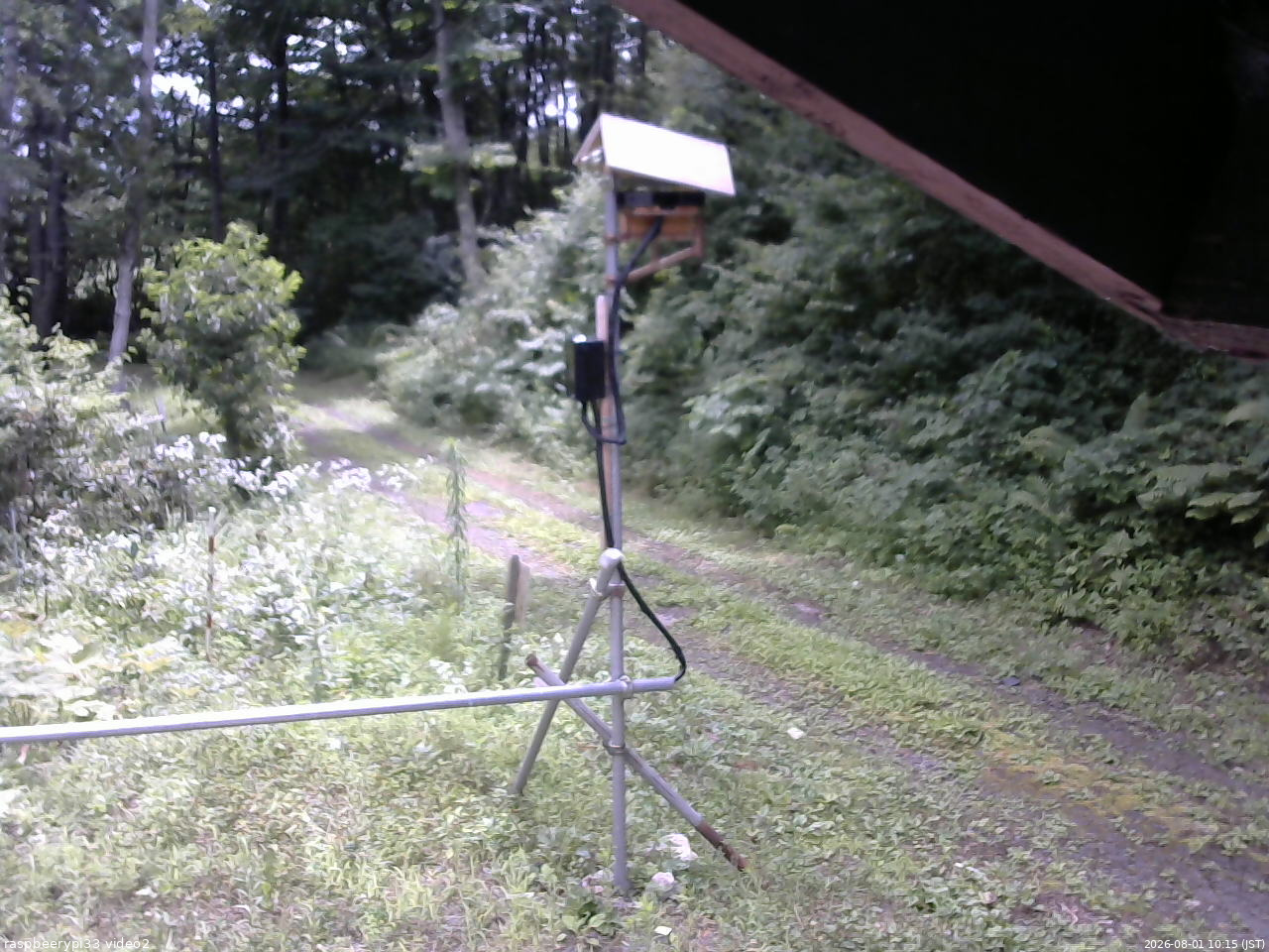 長野県菅平高原 ゆたか山荘 南側 2026/08/01 10:15